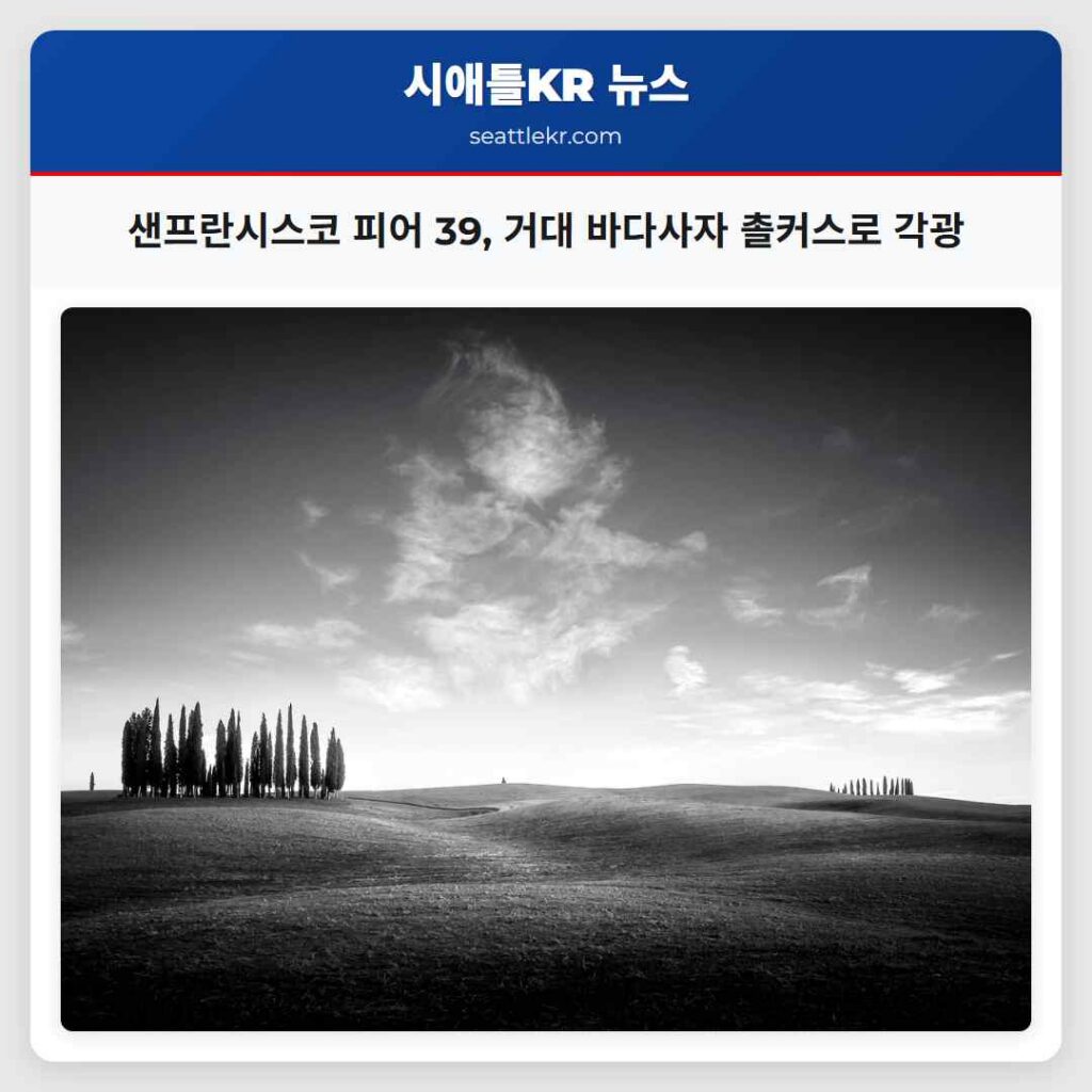 샌프란시스코 피어 39, 거대 바다사자 촐커스로 각광