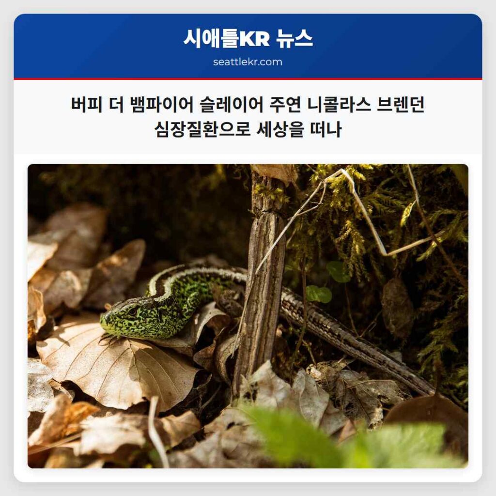 버피 더 뱀파이어 슬레이어 주연 니콜라스 브렌던 심장질환으로 세상을 떠나