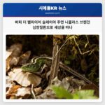 버피 더 뱀파이어 슬레이어 주연 니콜라스 브렌던 심장질환으로 세상을 떠나
