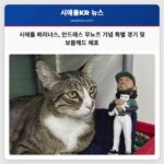 시애틀 매리너스 안드레스 무뇨즈 기념 특별 경기 및 보블헤드 배포