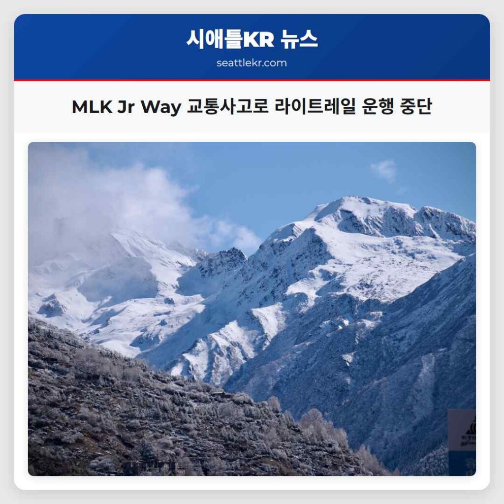 MLK Jr Way 교통사고로 라이트레일 운행 중단