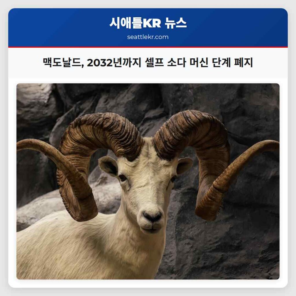 맥도날드, 2032년까지 셀프 소다 머신 단계 폐지