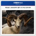 맥도날드 2032년까지 셀프 소다 머신 단계 폐지
