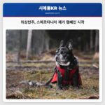 워싱턴주 스파르타니아 제거 캠페인 시작