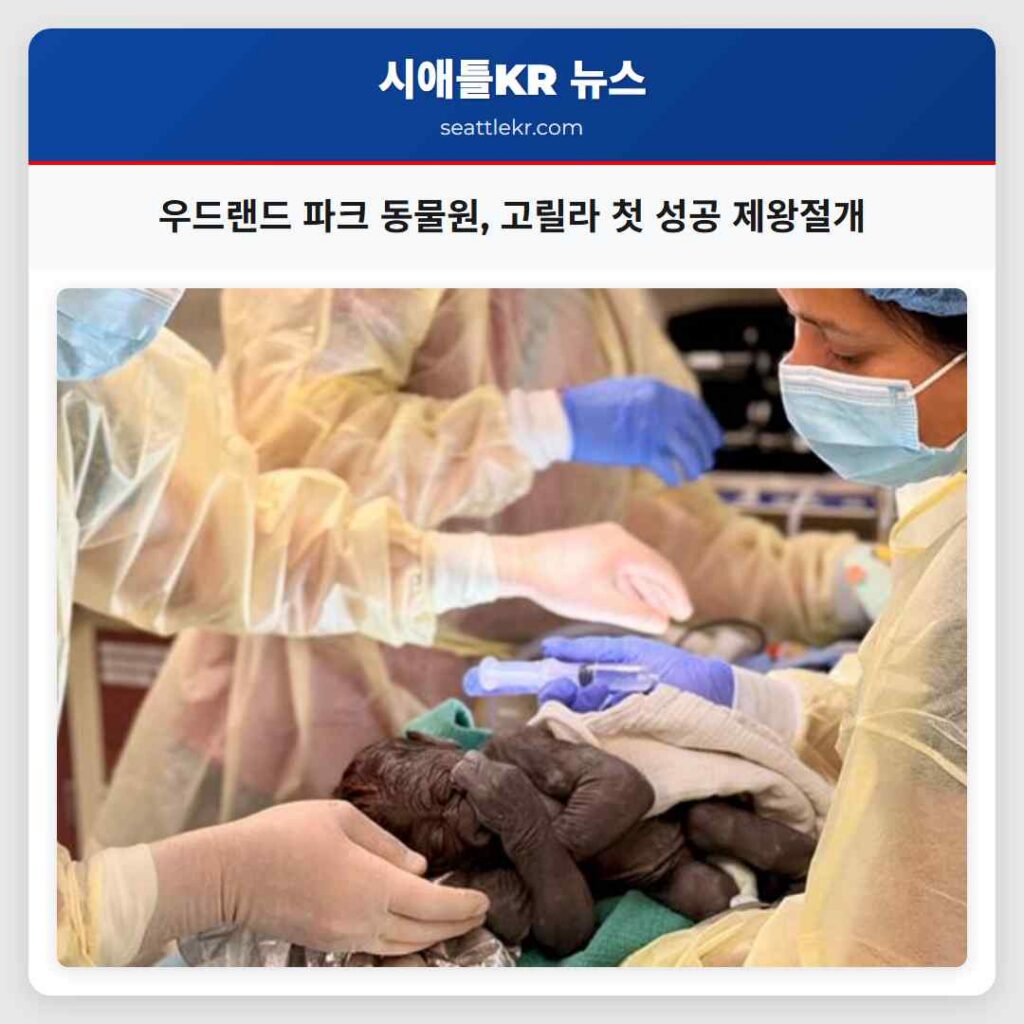 우드랜드 파크 동물원, 고릴라 첫 성공 제왕절개
