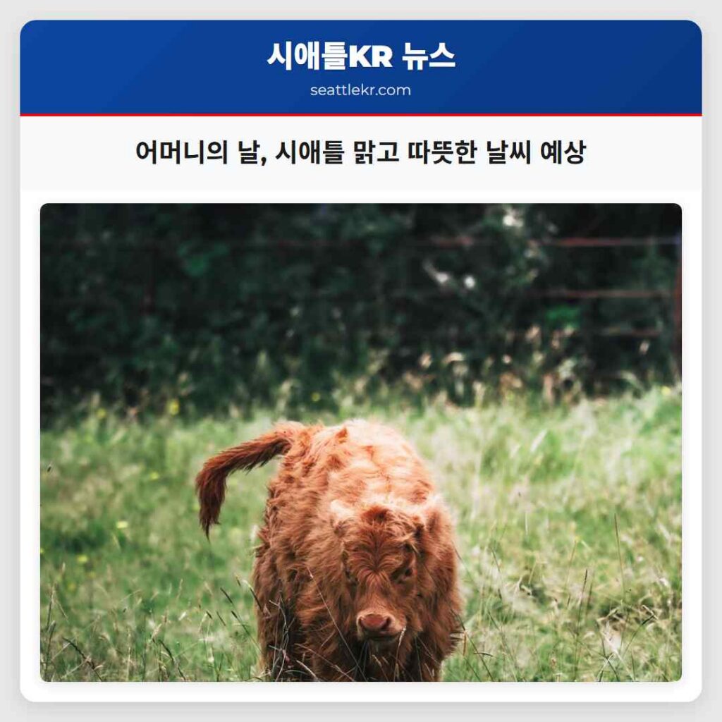 어머니의 날, 시애틀 맑고 따뜻한 날씨 예상
