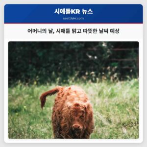 어머니의 날 시애틀 맑고 따뜻한 날씨 예상