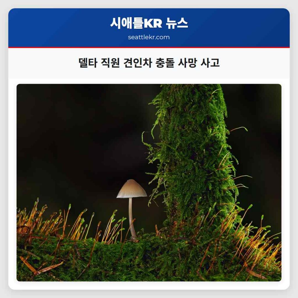 델타 직원 견인차 충돌 사망 사고