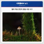 델타 직원 견인차 충돌 사망 사고