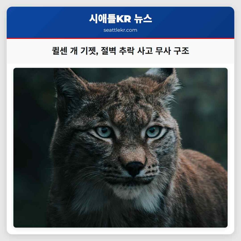 퀼센 개 기젯, 절벽 추락 사고 무사 구조