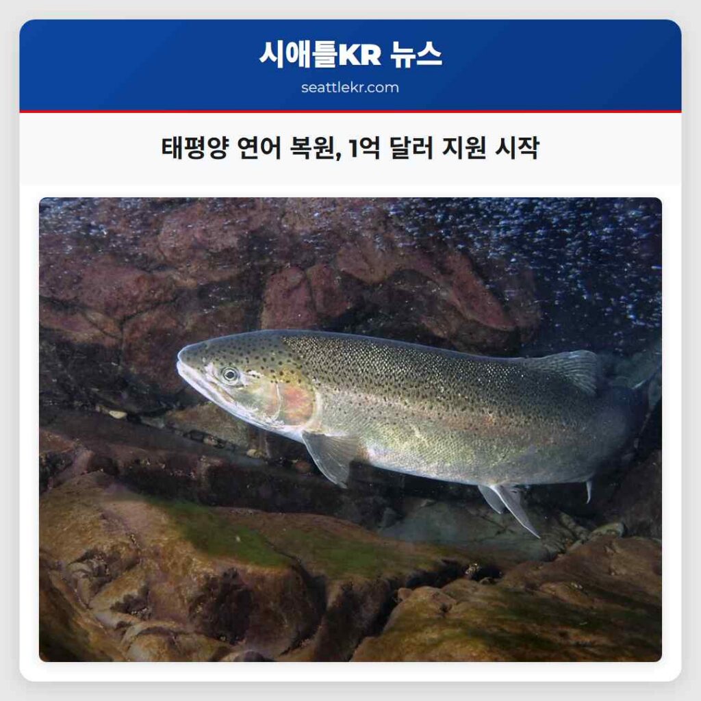 태평양 연어 복원, 1억 달러 지원 시작