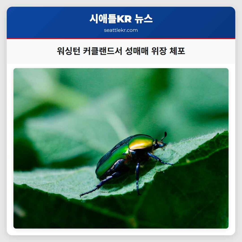 워싱턴 커클랜드서 성매매 위장 체포