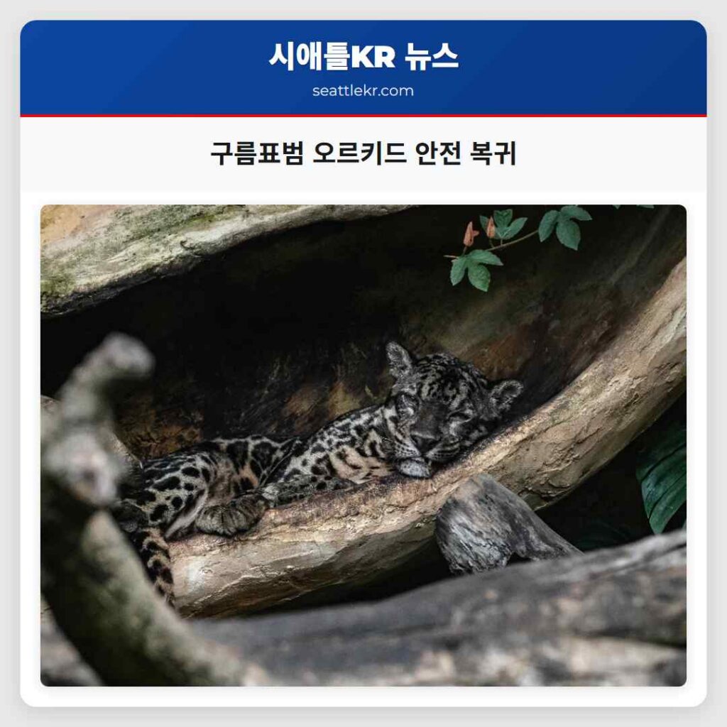 구름표범 오르키드 안전 복귀