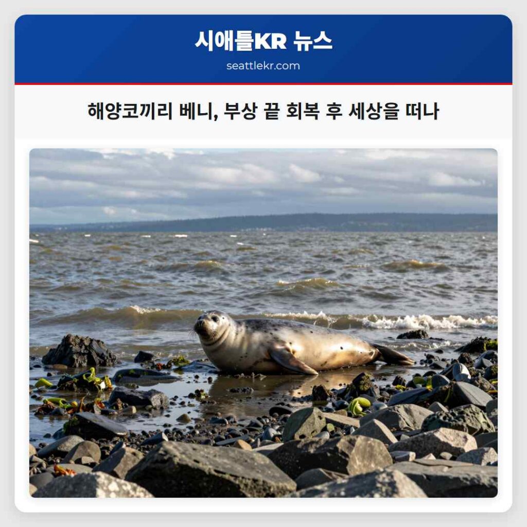 해양코끼리 베니, 부상 끝 회복 후 세상을 떠나