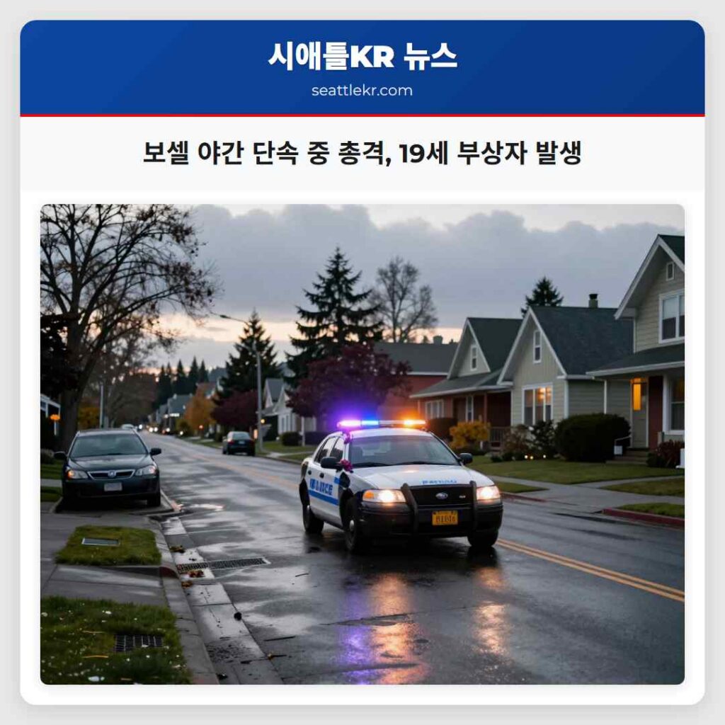 보셀 야간 단속 중 총격, 19세 부상자 발생