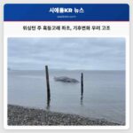 워싱턴 주 혹등고래 좌초 기후변화 우려 고조