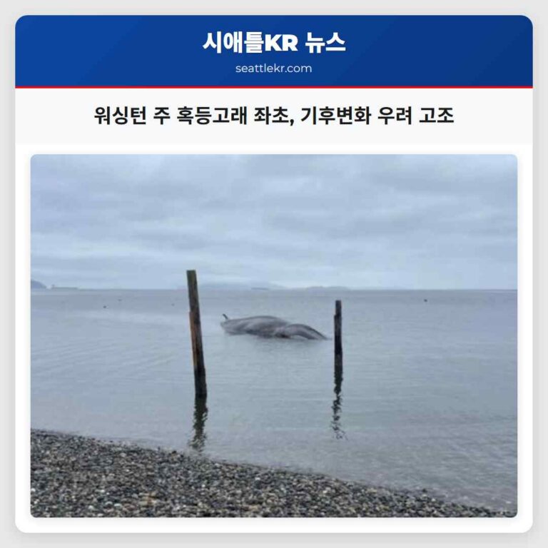 워싱턴 주 혹등고래 좌초 기후변화 우려 고조