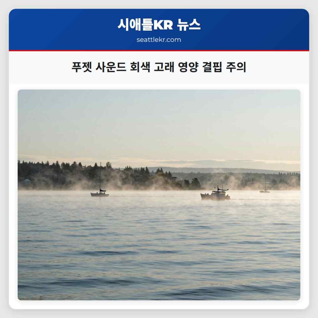 푸젯 사운드 회색 고래 영양 결핍 주의