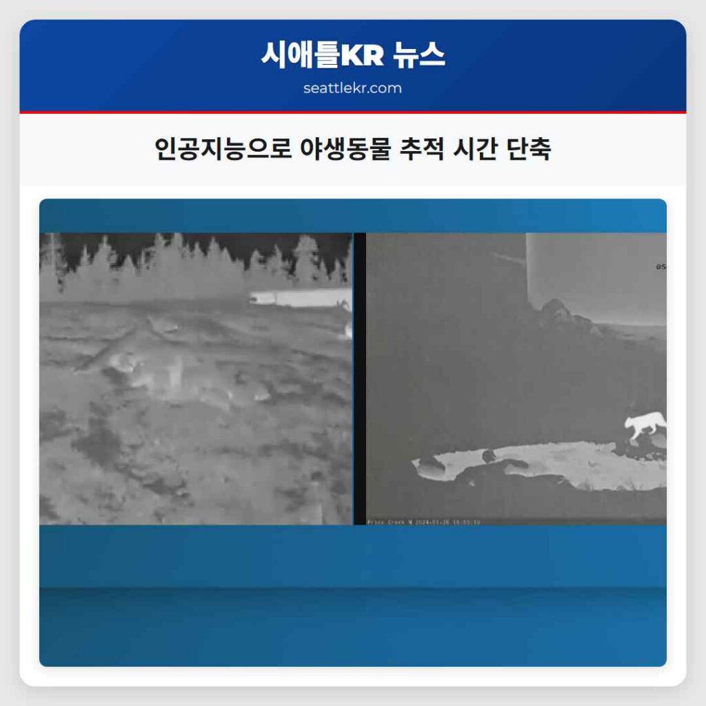 인공지능으로 야생동물 추적 시간 단축