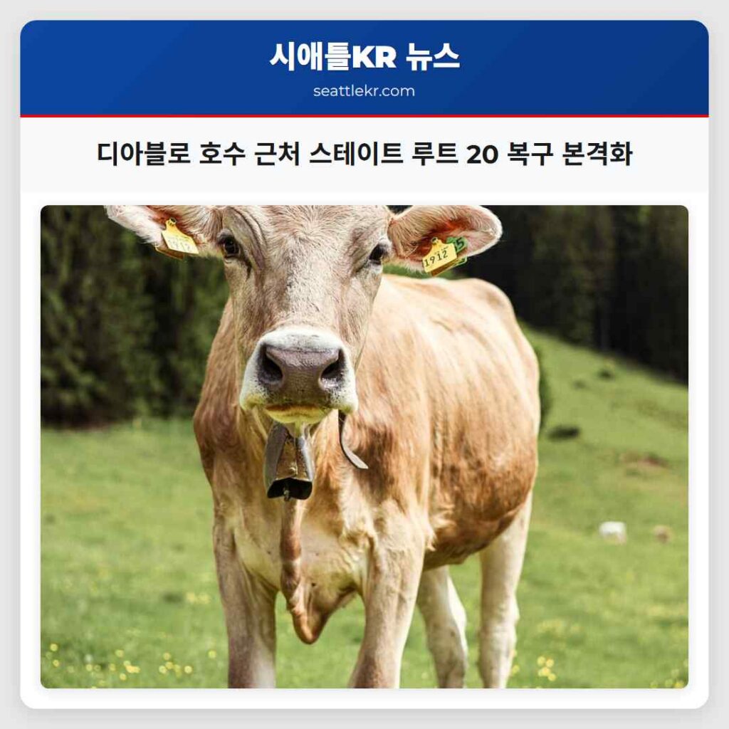 디아블로 호수 근처 스테이트 루트 20 복구 본격화