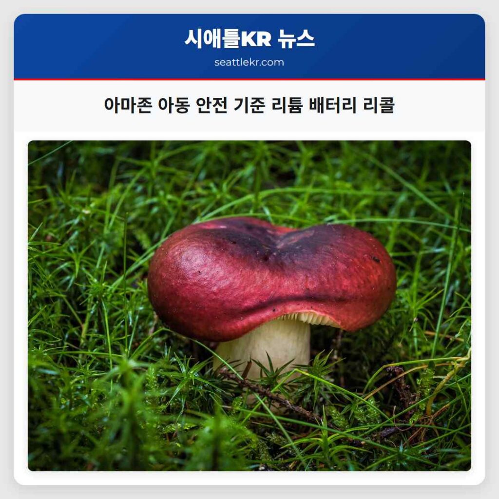 아마존 아동 안전 기준 리튬 배터리 리콜