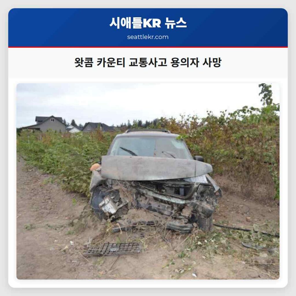 왓콤 카운티 교통사고 용의자 사망