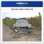 왓콤 카운티 교통사고 용의자 사망