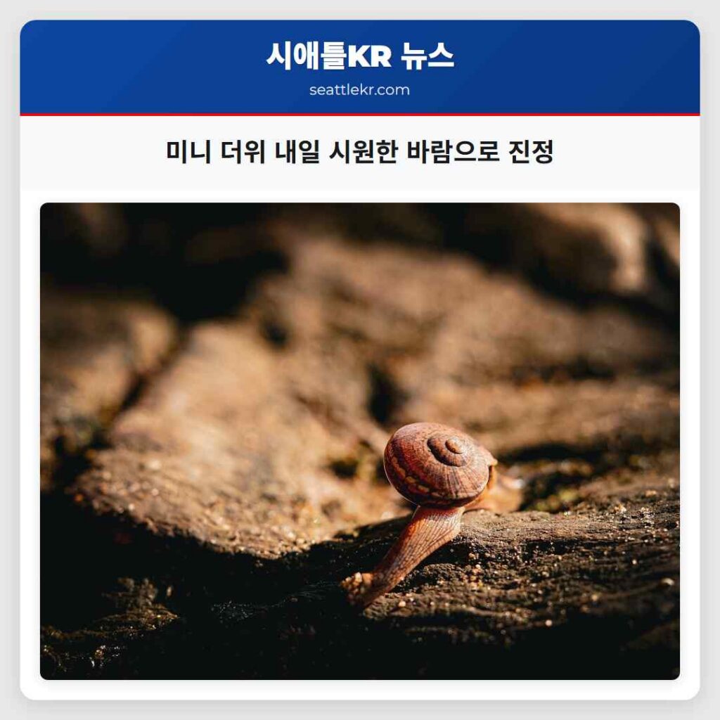 미니 더위 내일 시원한 바람으로 진정