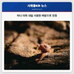 미니 더위 내일 시원한 바람으로 진정