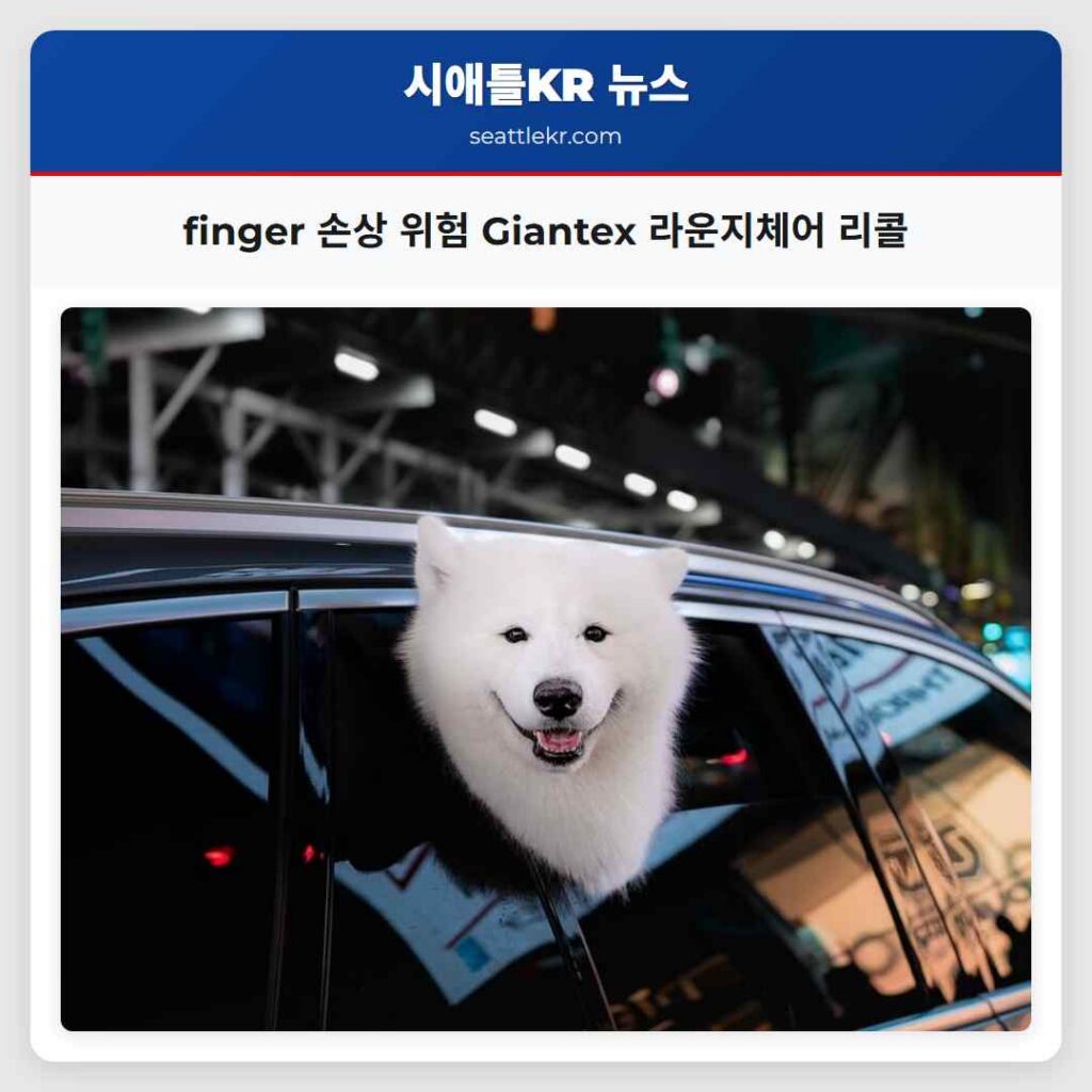 finger 손상 위험 Giantex 라운지체어 리콜