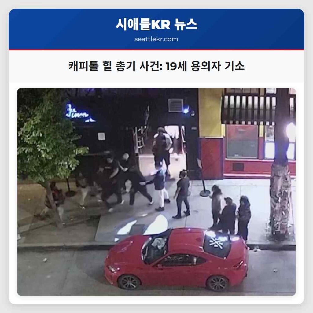 캐피톨 힐 총기 사건: 19세 용의자 기소