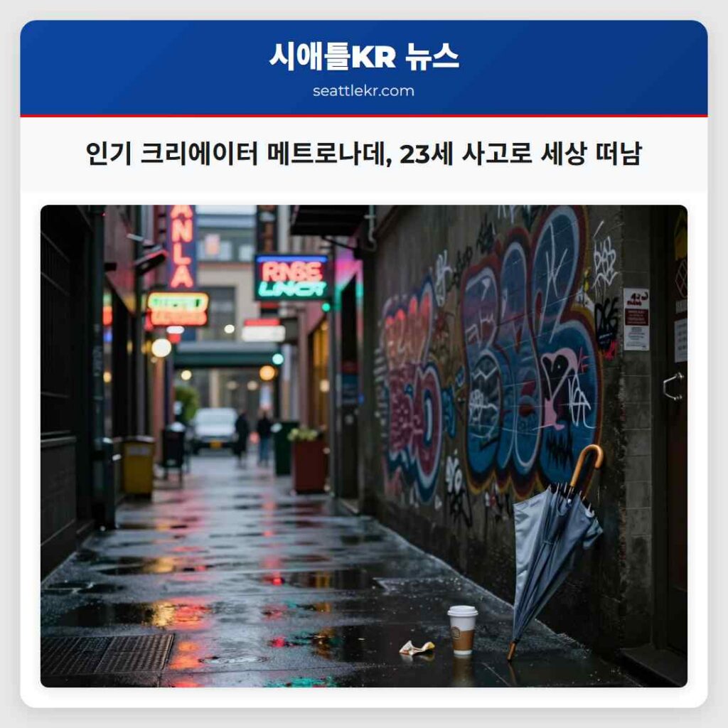 인기 크리에이터 메트로나데, 23세 사고로 세상 떠남