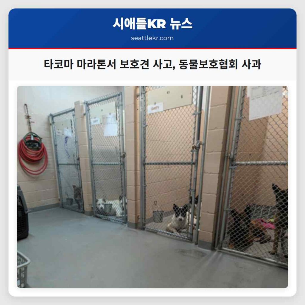 타코마 마라톤서 보호견 사고, 동물보호협회 사과