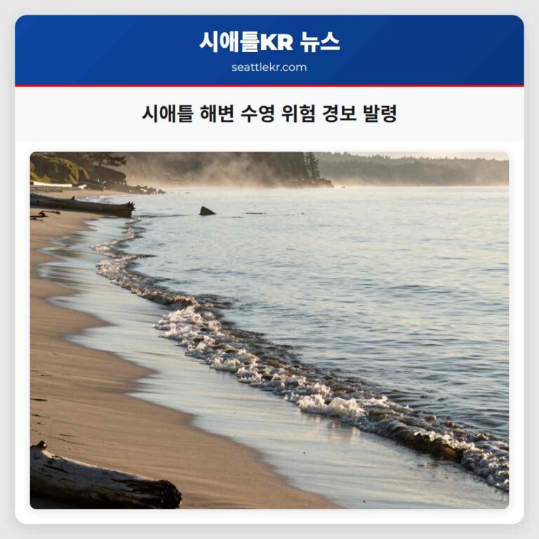 시애틀 해변 수영 위험 경보 발령
