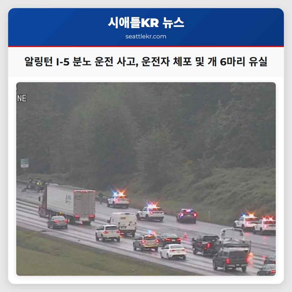 알링턴 I-5 분노 운전 사고, 운전자 체포 및 개 6마리 유실