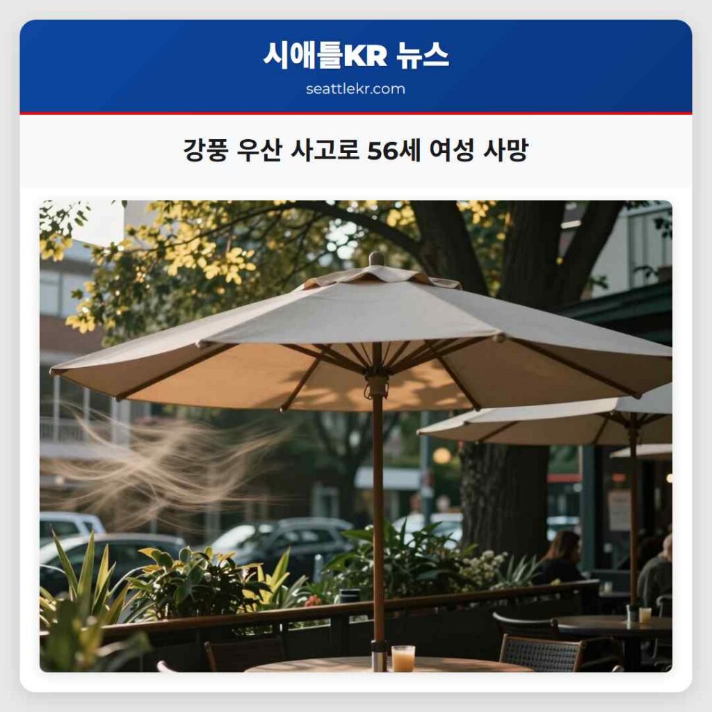 강풍 우산 사고로 56세 여성 사망