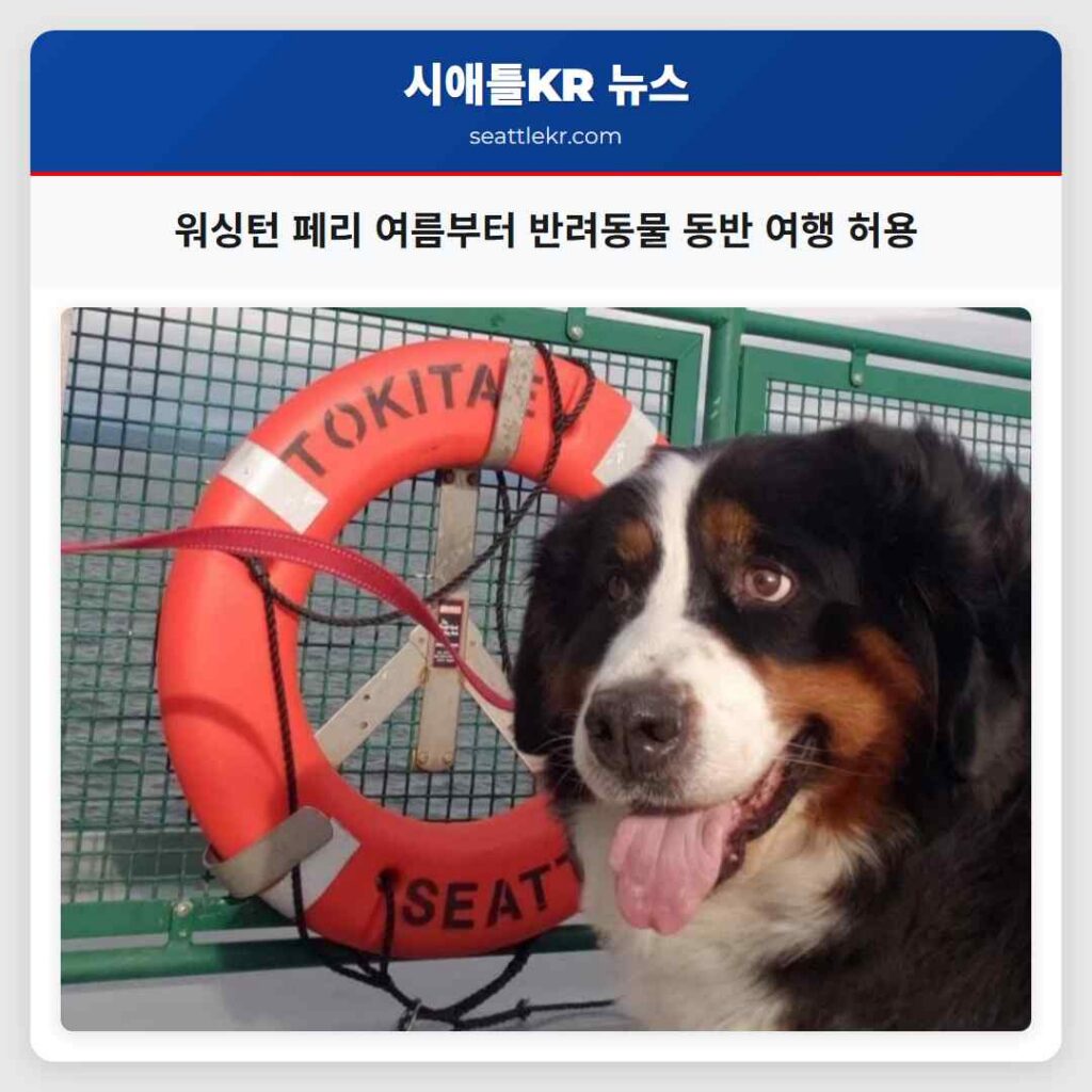 워싱턴 페리 여름부터 반려동물 동반 여행 허용