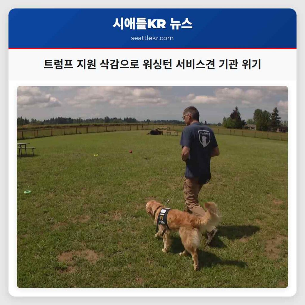 트럼프 지원 삭감으로 워싱턴 서비스견 기관 위기