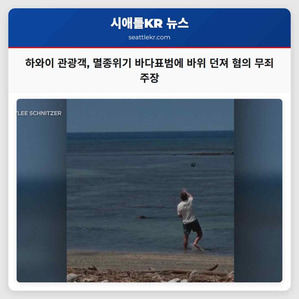 하와이 관광객, 멸종위기 바다표범에 바위 던져 혐의 무죄 주장
