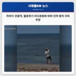 하와이 관광객 멸종위기 바다표범에 바위 던져 혐의 무죄 주장