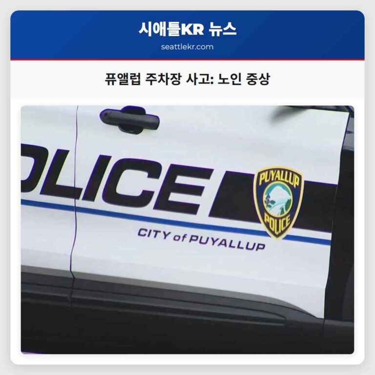 퓨앨럽 주차장 사고 노인 중상