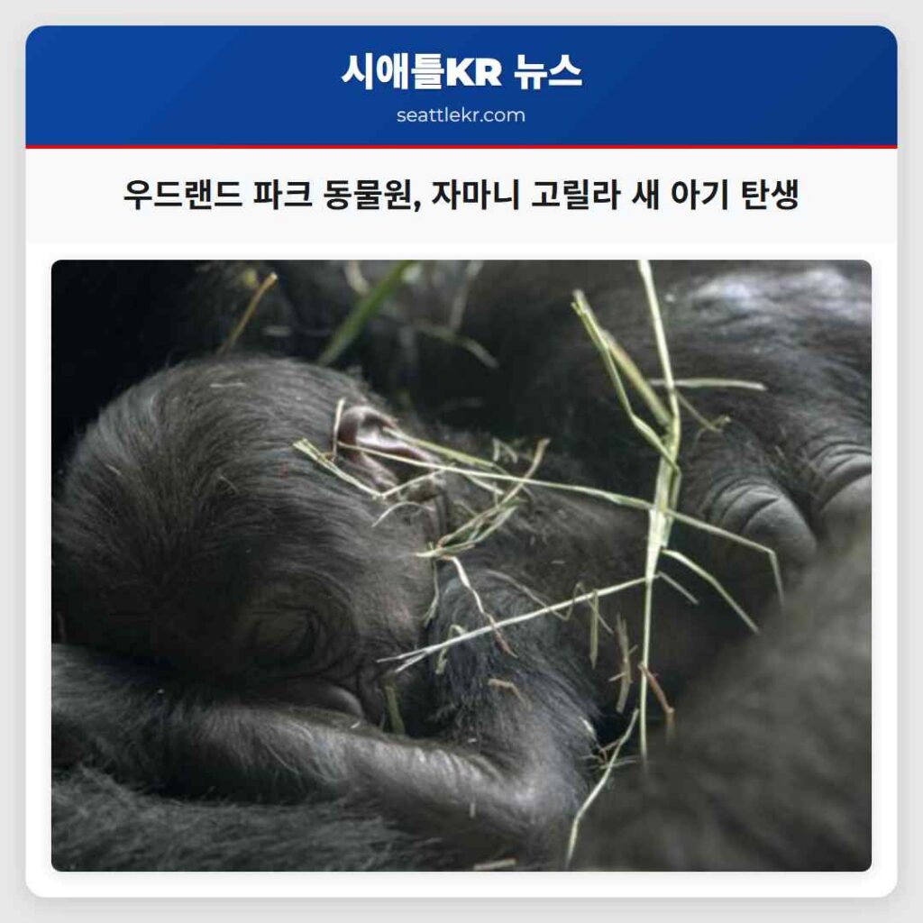 우드랜드 파크 동물원, 자마니 고릴라 새 아기 탄생