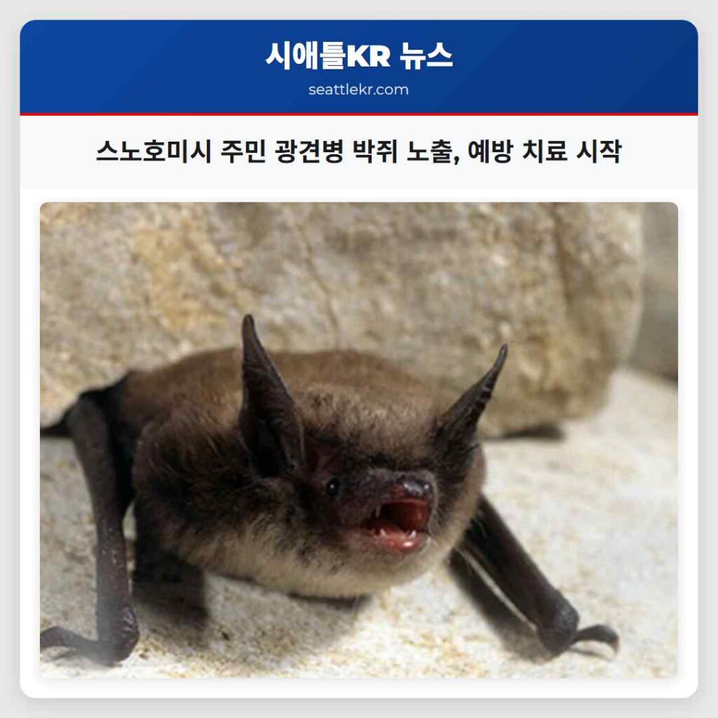 스노호미시 주민 광견병 박쥐 노출, 예방 치료 시작
