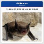 스노호미시 주민 광견병 박쥐 노출 예방 치료 시작