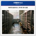 에버렛 동물보호소 파보병 경보 발령