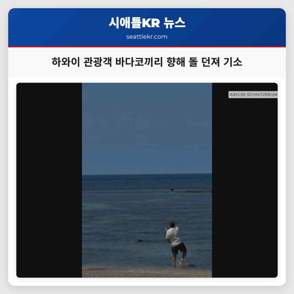 하와이 관광객 바다코끼리 향해 돌 던져 기소