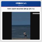 하와이 관광객 바다코끼리 향해 돌 던져 기소