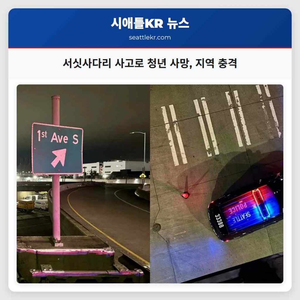 서싯사다리 사고로 청년 사망, 지역 충격