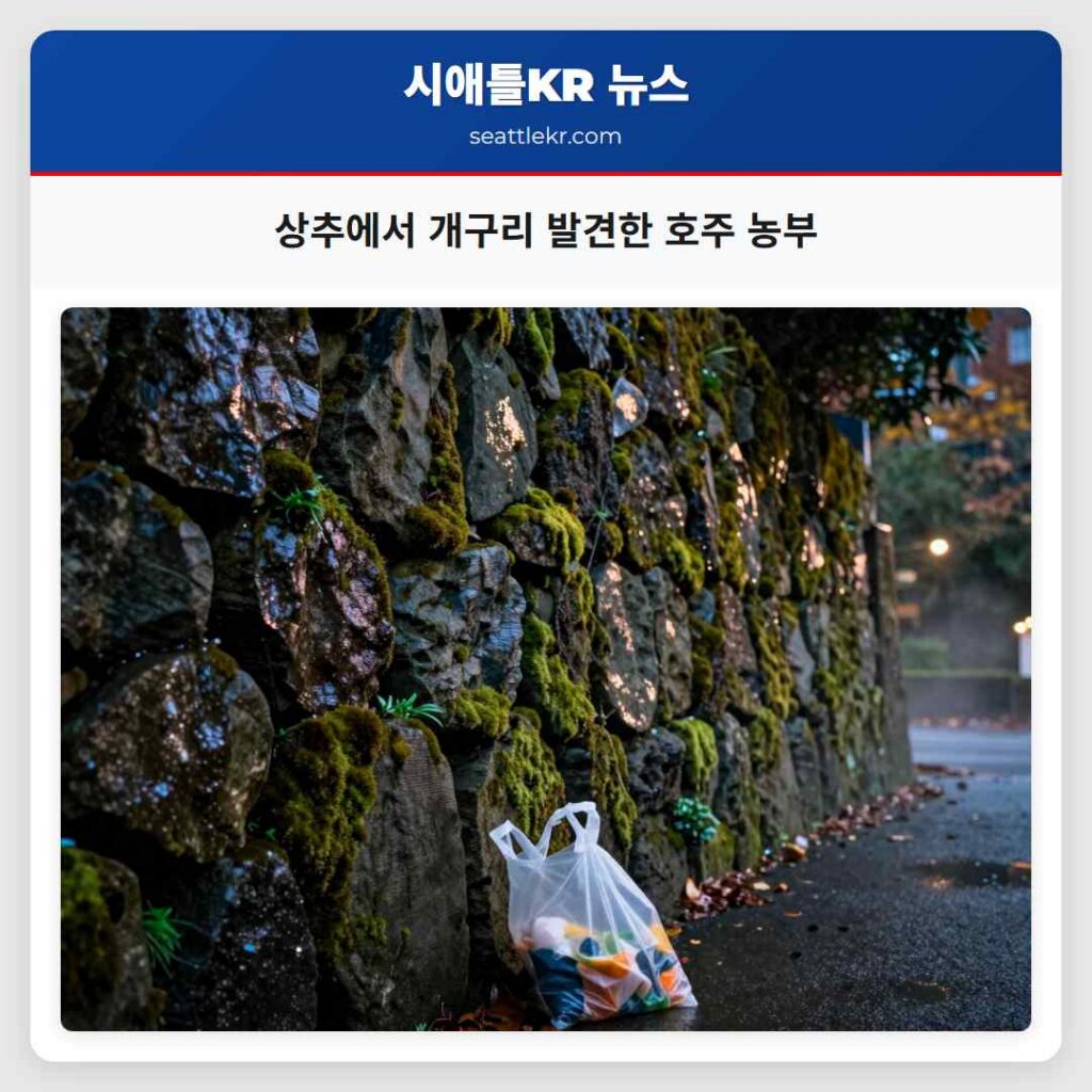 상추에서 개구리 발견한 호주 농부