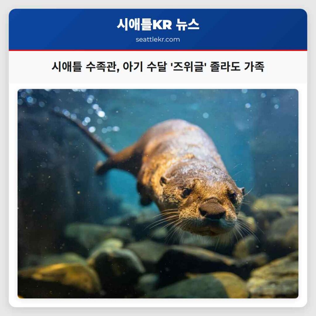 시애틀 수족관, 아기 수달 '즈위글' 졸라도 가족